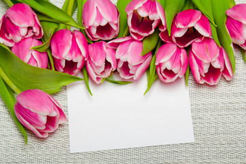Pink tulip bouquet and sheet of paper on light background, copy space