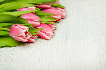 Pink tulip bouquet on light background, copy space