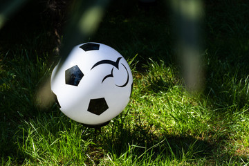 Ball on the grass Sochi 2018