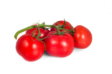 Tomato branch isolated on white background