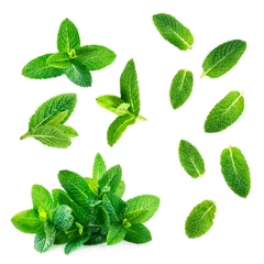 Foto op Plexiglas Fresh mint leaves collection  isolated on white background, top view. Close up of peppermint. © nataliazakharova