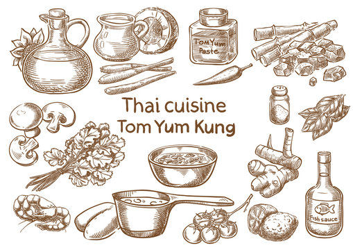 Thai cuisine. Tom yum kung  ingredients vector sketch.