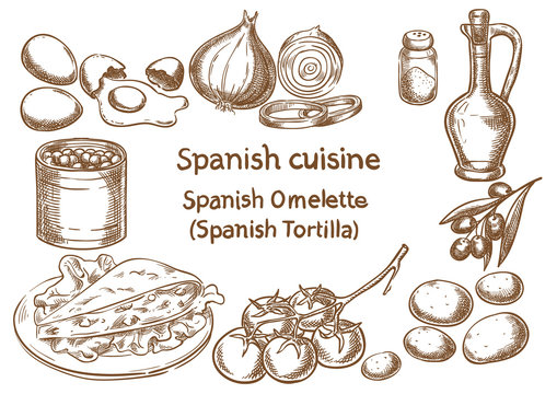 Spanish cuisine. Spanish omlette (tortilla) ingredients vector sketch.
