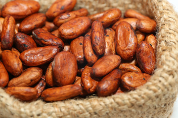 Roasted cocoa beans to produce chocolate in a bag