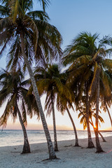 Fototapeta na wymiar Evening on a beach in Playa Giron village, Cuba.