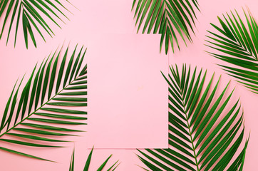 Fototapeta na wymiar Tropical palm leaves on pastel pink background with paper card note. Minimal summer concept. Creative layout. Top view, flat lay. Green leaf on punchy pastel paper