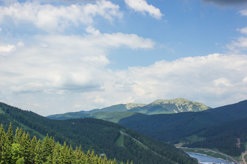 nature forest mountain landscape from top 