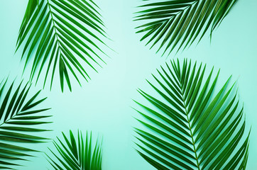 Tropical palm leaves on pastel blue background. Minimal summer concept. Creative flat lay with copy space. Top view green leaf on punchy pastel paper