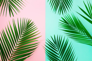 Obraz premium Styled summer concept. Tropical palm leaves on pink and blue background. Minimal nature. Creative flat lay with copy space. Top view