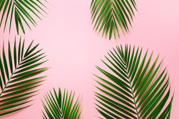 Tropical palm leaves on pastel pink background. Minimal summer concept. Creative flat lay with copy space. Top view green leaf on punchy pastel paper