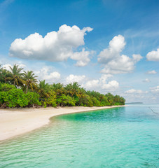 Tropical island beach Palm trees Blue sky