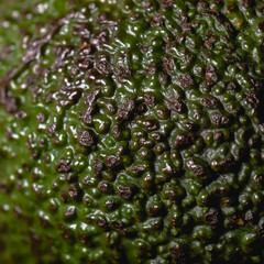 Ripe avocado peel close up background image © Tycsan