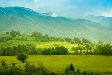 Fototapeta na wymiar green mountain meadow with mountain range in the background