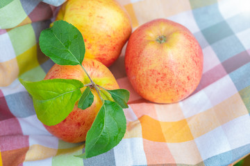 Red and yellow ripe apples Gala sort on the kitchen towel
