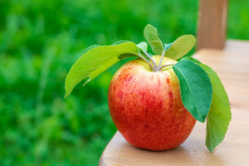 Red and yellow ripe apples Gala sort on wooden background