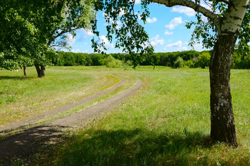 Sunny summer scene with green trees growing along the ground country road.Blue sky with beautiful bright clouds.