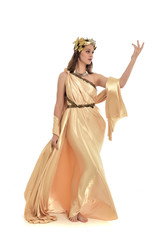 Fototapeta na wymiar full length portrait of brunette woman wearing long golden grecian gown, standing pose. isolated on white studio background.