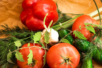 Arrangement  on the wrapping paper of a assortment of fresh vegetables, red pepper, garlic, green onions, tomatoes, cucumbers