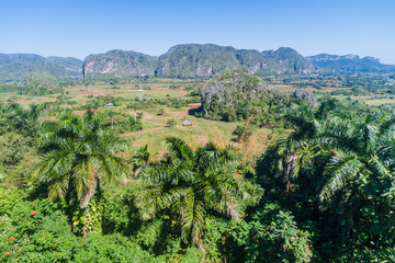 Fototapeta na wymiar Landscape of Vinales valley, Cuba