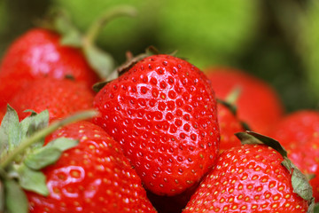 клубника, лето, витамины