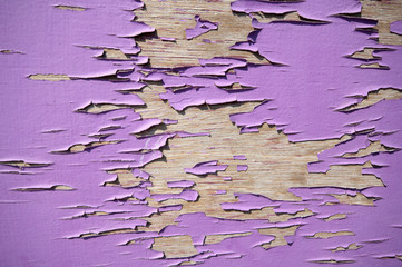 Purple peeling paint