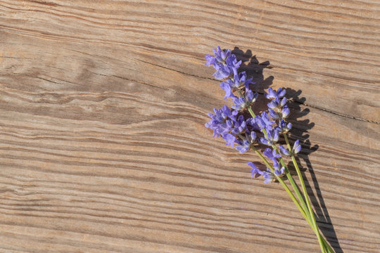 fresh flowers lavender on a wooden background