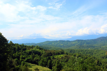 Fototapeta premium Нетронутая природа