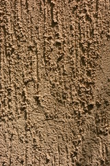 Building material bark beetle painted on the wall with the color of the sun and brown paint