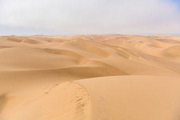 Fototapeta na wymiar Namib Desert dunes meet the ocean, Namibia, Africa