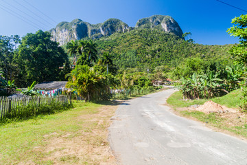 Fototapeta na wymiar Road in Vinales valley, Cuba
