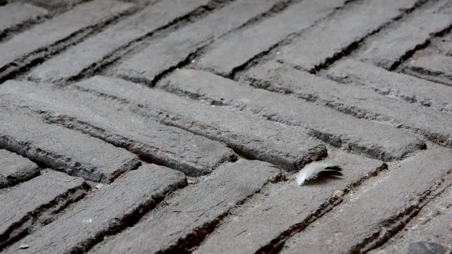 Beating a Leather 