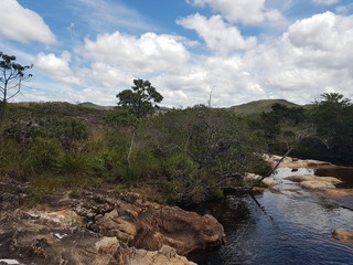 Vegetação da cachoeira de Milho Verde na região do Serro / Diamantina / Minas Gerais