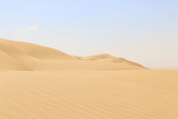 Die leere Wüste