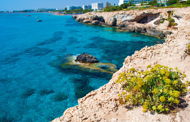 Obraz premium Blue water and limestone beach with yellow flowers