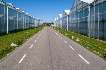 Fototapeta na wymiar Greenhouses at both sides of the road in the Netherlands