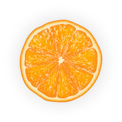 Realistic 3d Vector Illustration of sliced orange fruit. Colourful citrus. Good for packaging design and ad.