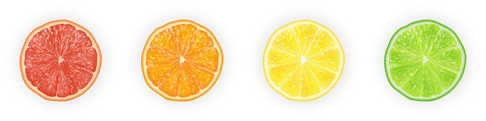 Realistic 3d Vector Illustration Set of sliced  orange, grapefruit, lemon, and lime.  Colourful citrus background.