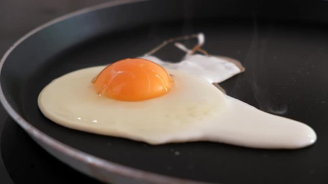 Close-up of one egg being fried on a frying pan for breakfast. Slow motion, 4k.