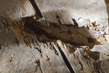 Gouged Wood and Water Damage in Bathroom Floor