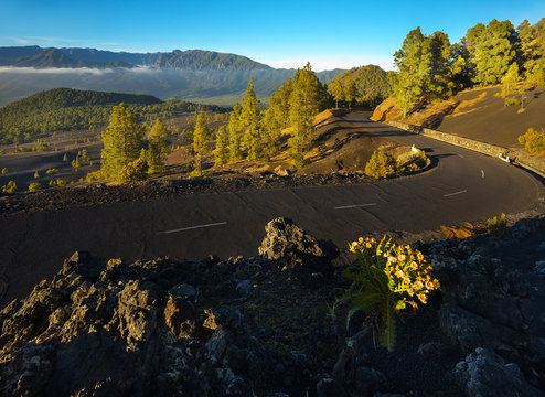 Road in the volcanic landscape, island of La Palma, Canary Islands, Spain