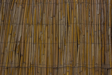 bamboo wall background texture concept with empty space for copy or text