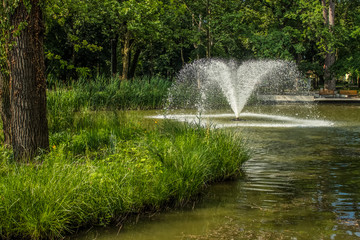 summer outdoor park with lake and fontain in bright day time