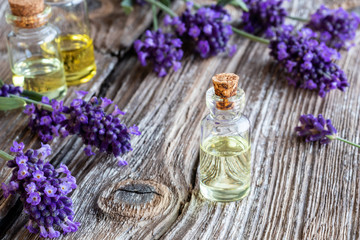 Fototapeta premium A bottle of lavender essential oil with fresh blooming lavender