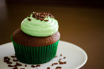 Mint Devil's Food Chocolate Cupcake