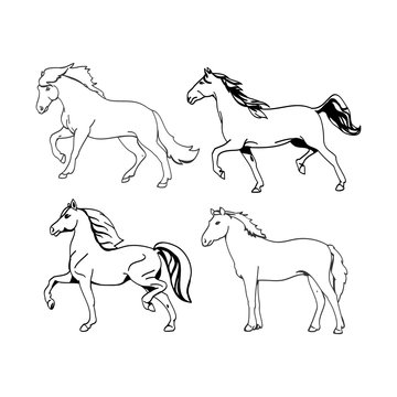 Graphic image of a horse on a white background
