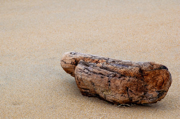 driftwood