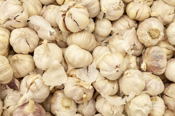 Garlic is lined in the shop window.