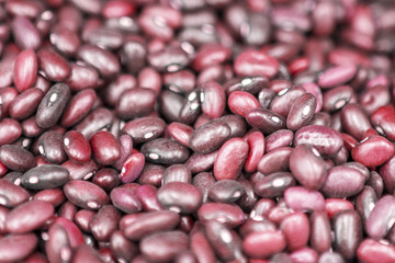 Fresh red beans laid out evenly. Photo with a shallow depth of field.