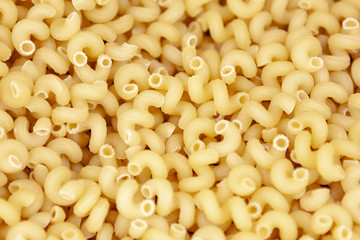 Macaroni horns laid out evenly. Photo with a little depth of field.