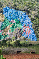 Mural de la Prehistoria (The Mural of Prehistory) painted on a cliff face in the Vinales valley, Cuba. © Matyas Rehak